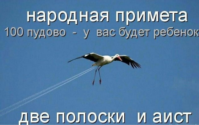 Кучка картинок из недр интернета
