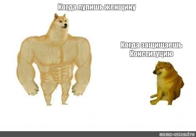 МВД России обратилось с предупреждением, использовав известный мем "качок Доге и Чимс"