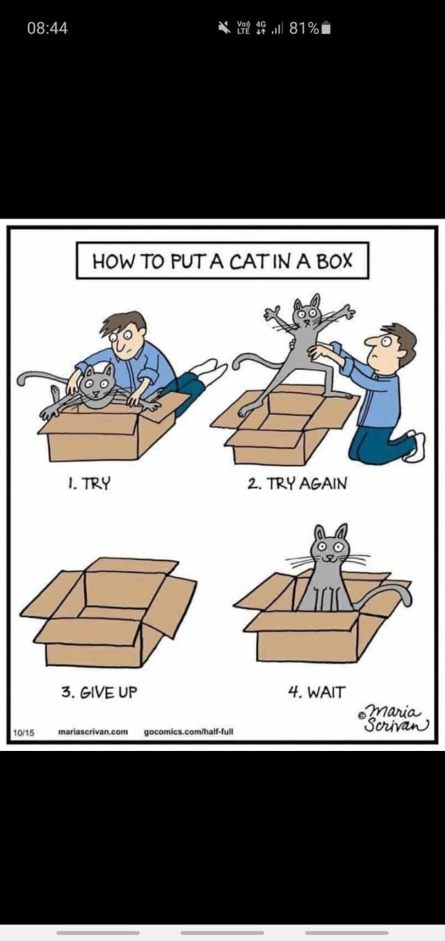 Немного картинок с надписями и без - 28.02.21