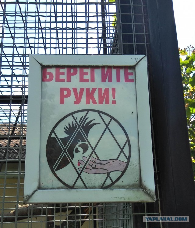 Морзянка