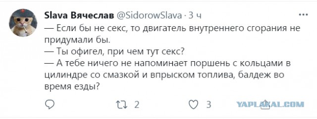 Весёлый полтишок 11.09