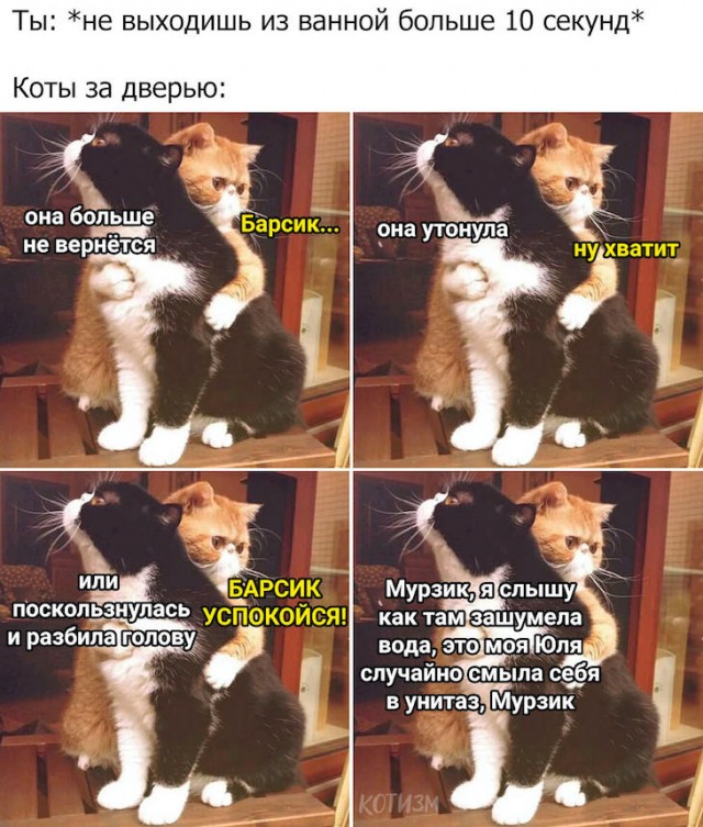 Картинки и мемы, всем прекрасных выходных
