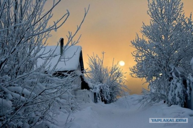 Вот моя деревня, вот мой дом родной. (20 фот.)