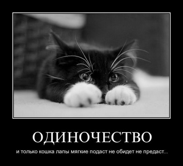 Старинные демотиваторы - 01 (2010)