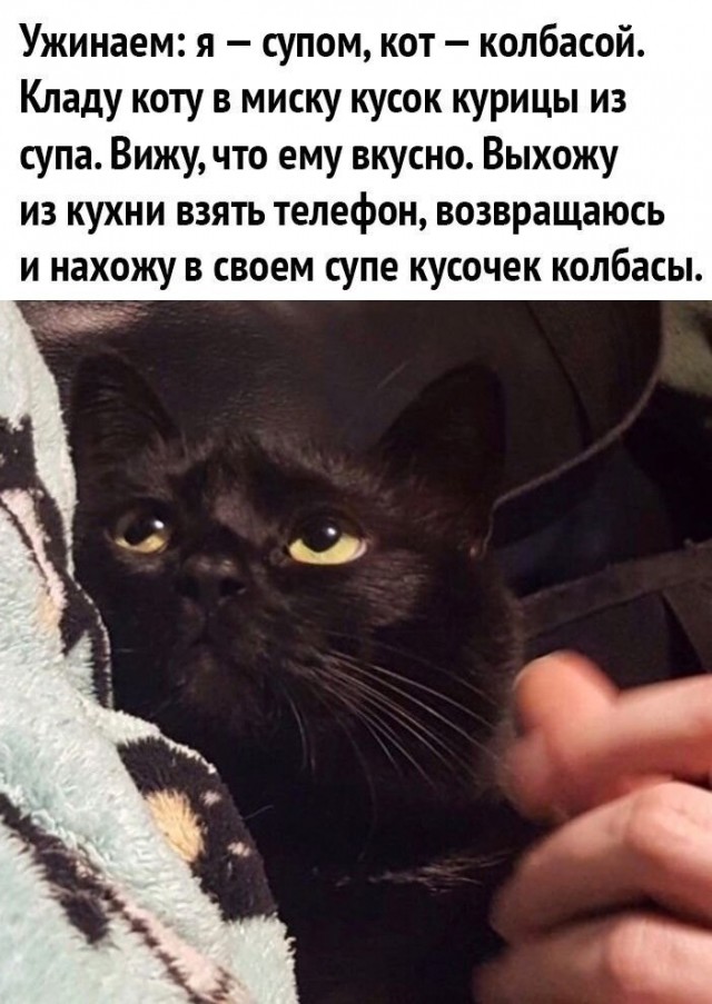 Так себе картинки 24.11.21