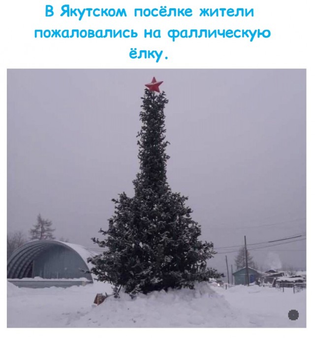 Чуток картинок 10.12.21