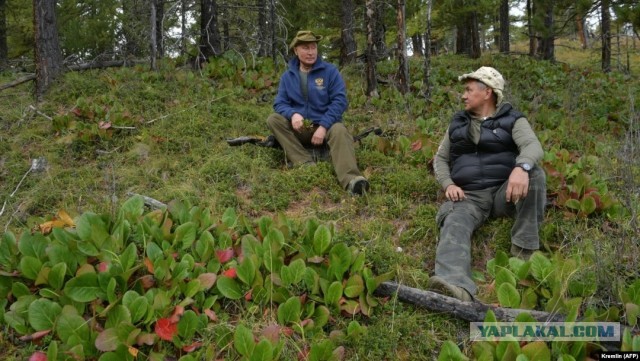 В Белгородской области, в районе села Старая Нелидовка, загорелся склад боеприпасов