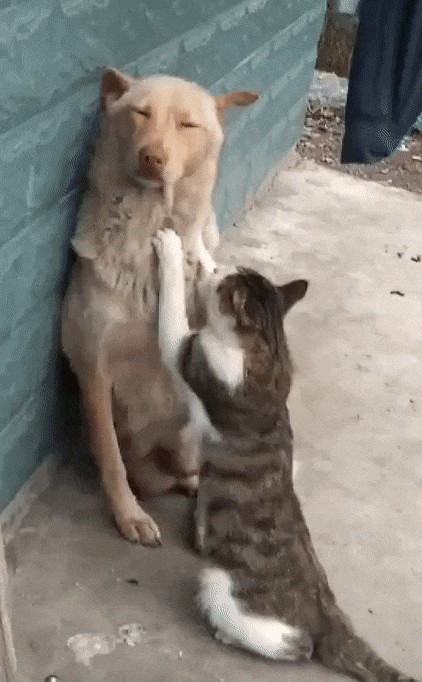 Доброе пятничное утро!