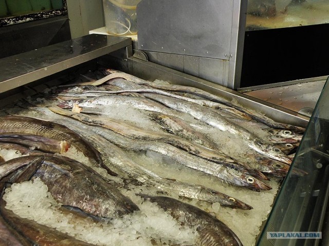Рыбный ларёк в Новой Зеландии