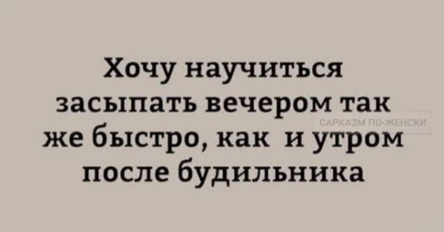 Весёлый полтишок 08.06.2022