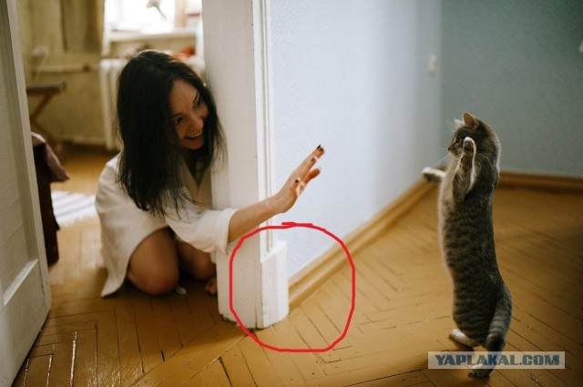 Разные хорошие картинки, местами даже атмосферно