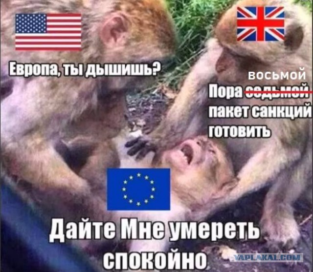 Евросоюз опубликовал седьмой пакет санкций против России