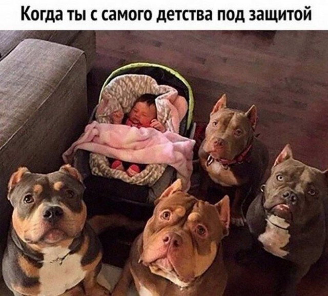 Картинки и мемы для настроения - 11