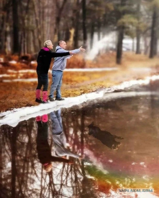 Хозяева попросили добавить на фотографию Тимбера, их недавно ушедшего пса, когда они развеивают его прах на пруду