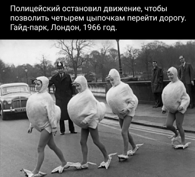 Немного картинок для настроения - 129