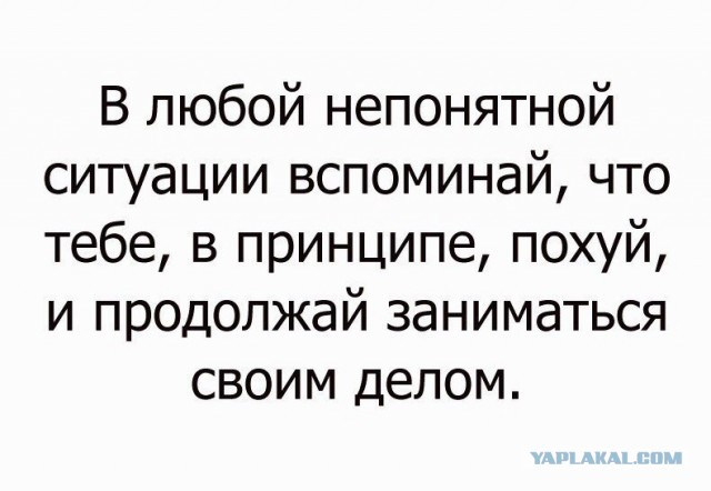 Чего только не придумают
