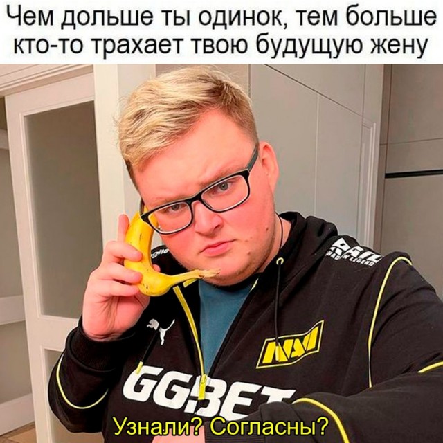 Весёлый полтишок 04.11.22