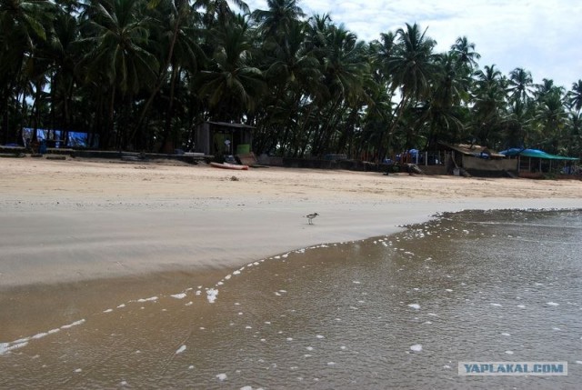ГоА свои впечатления