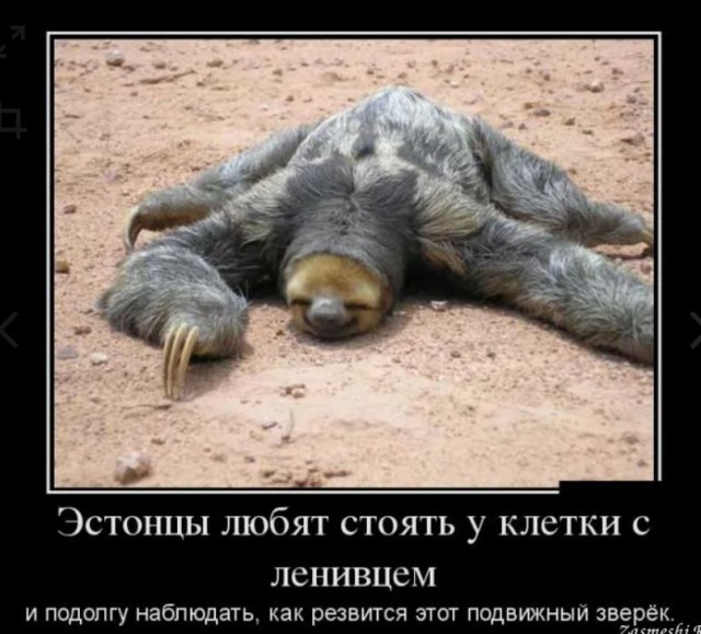 Победная поступь идиотизма по планете – том 4