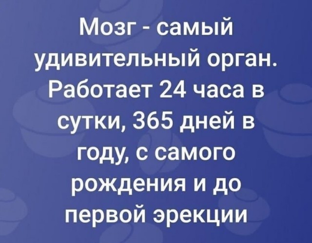 Весёлый полтишок 31.01.23