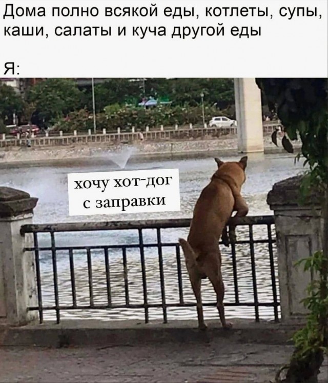 Картинки аморальные и всякие разные - 47