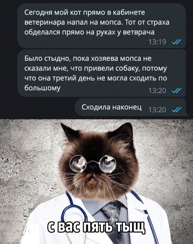 Так себе картинки 03.04.23