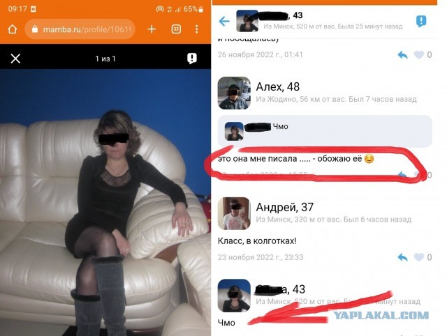 Почему бабы офигели