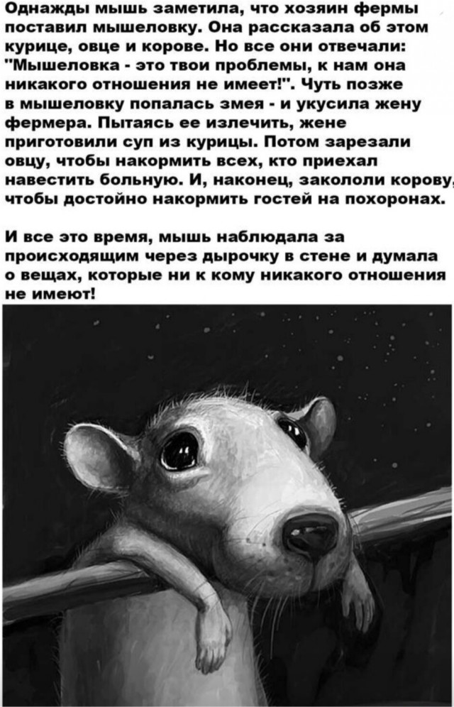 Хитрый механизм прячет от камер регистрационный знак автомобиля? - бог бы с ним, но вы почитайте комментарии