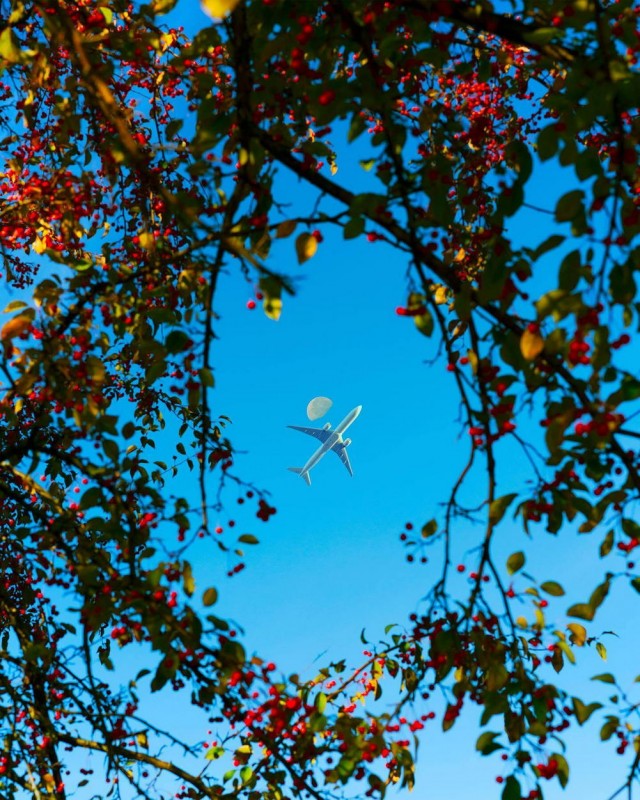 ФотоВинегрет