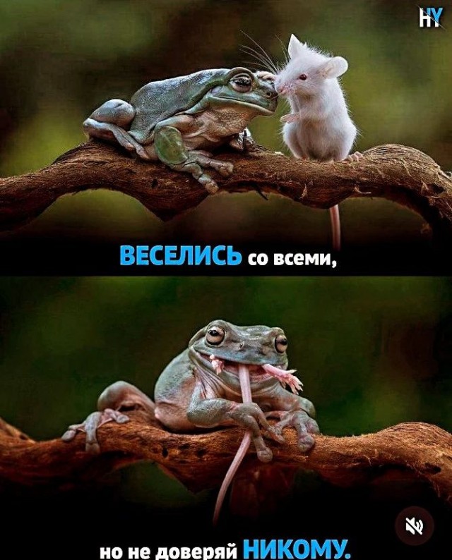 Завалялось тут случайно немного забавных картинок