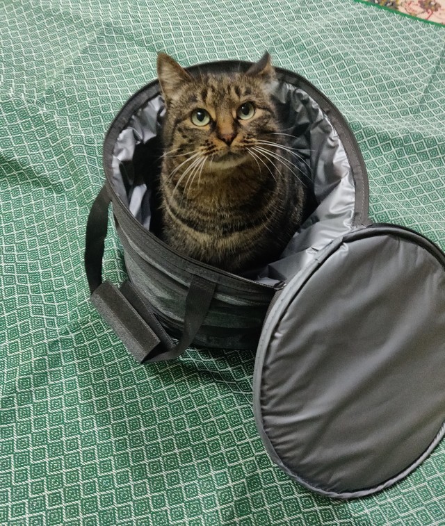Коробочки наше фсё