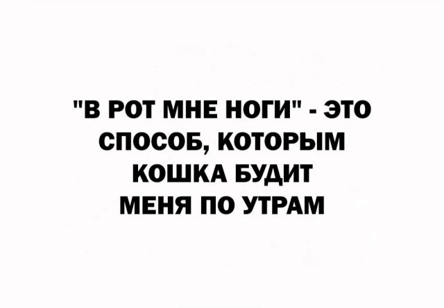 Завалялось тут случайно немного забавных картинок