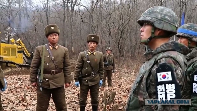 В чём сильна армия КНДР и как северокорейцы могут пригодиться на СВО?