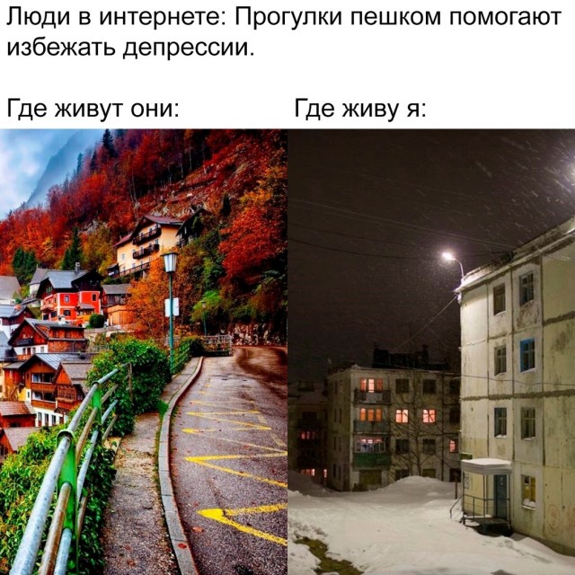 Весёлый полтишок 25.12.24