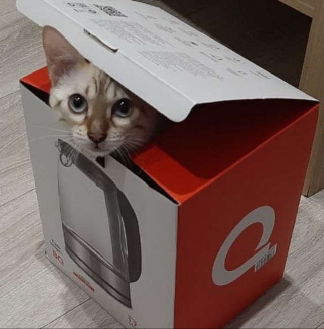 Ну а что? Мне понравилось...
