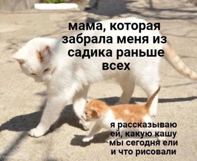 Веселые картинки в понедельник (24.02)