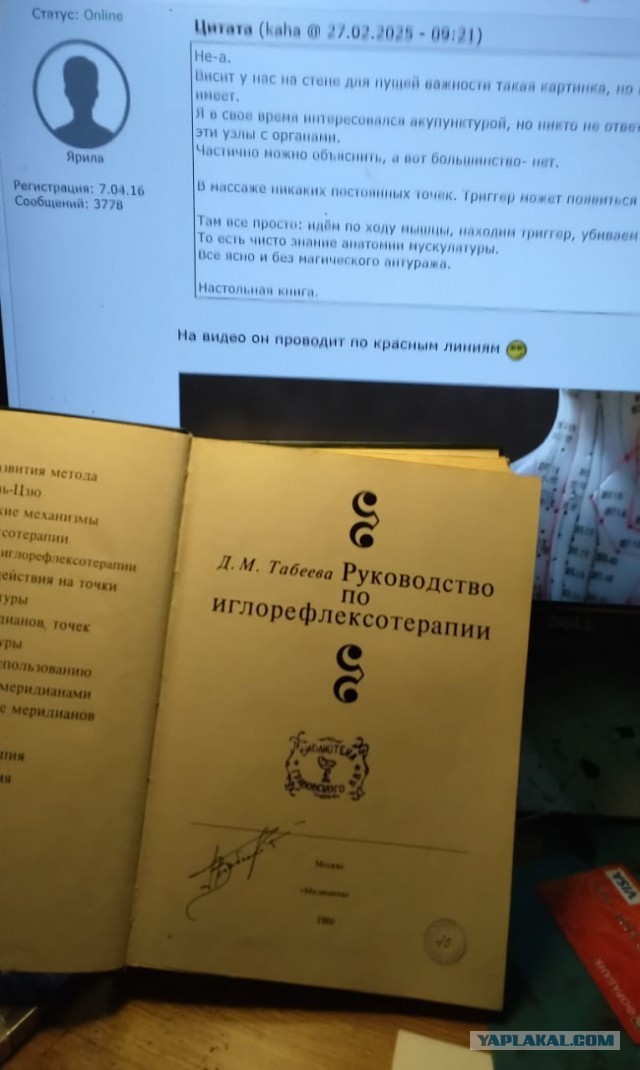 Тайский массаж. Основы.