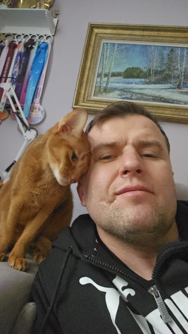 Есений (котовторник)