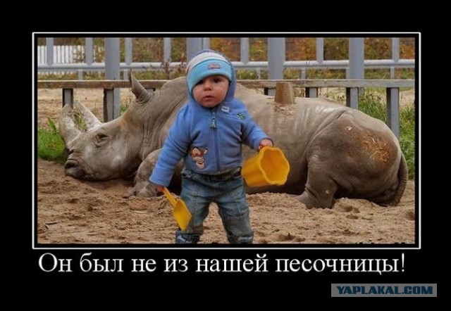 Беспредел у меня во дворе!