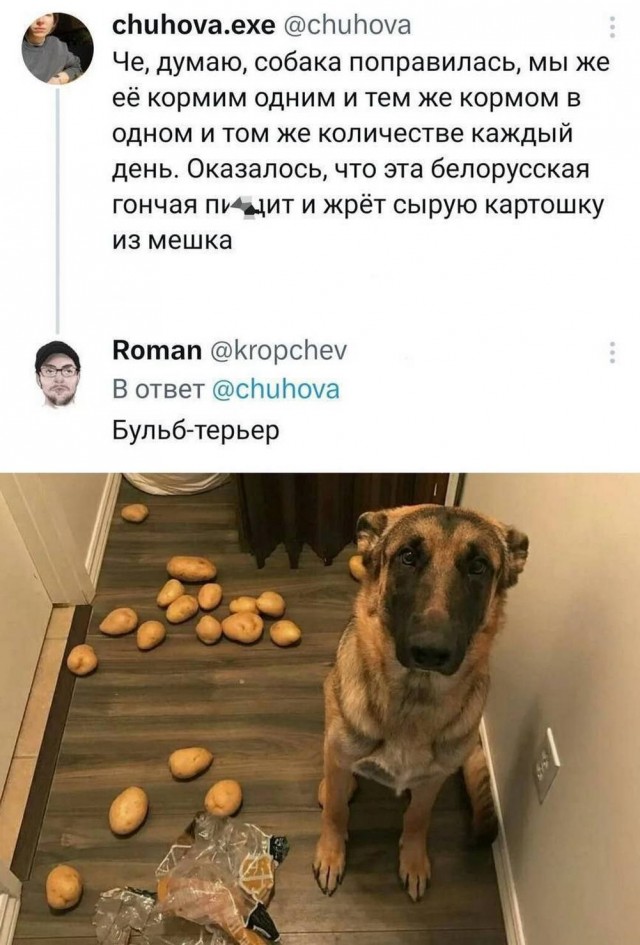 Веселые картинки в пятницу (12.09)