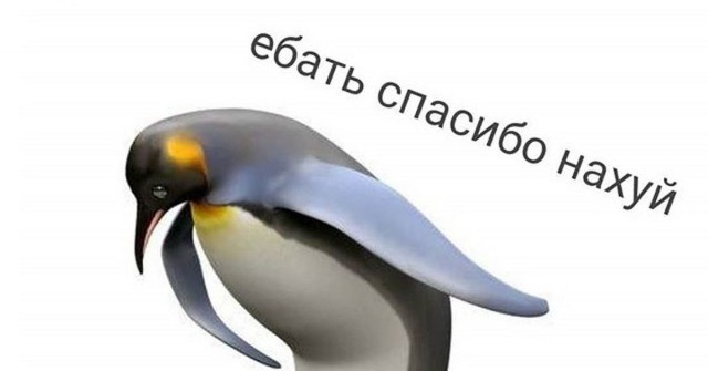Птичьи бои