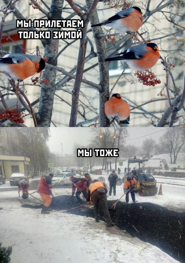 Субботние картинки