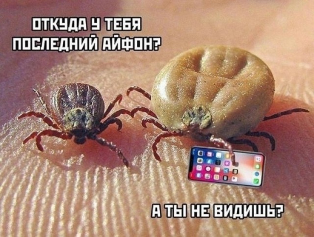 Воскресная мешанина