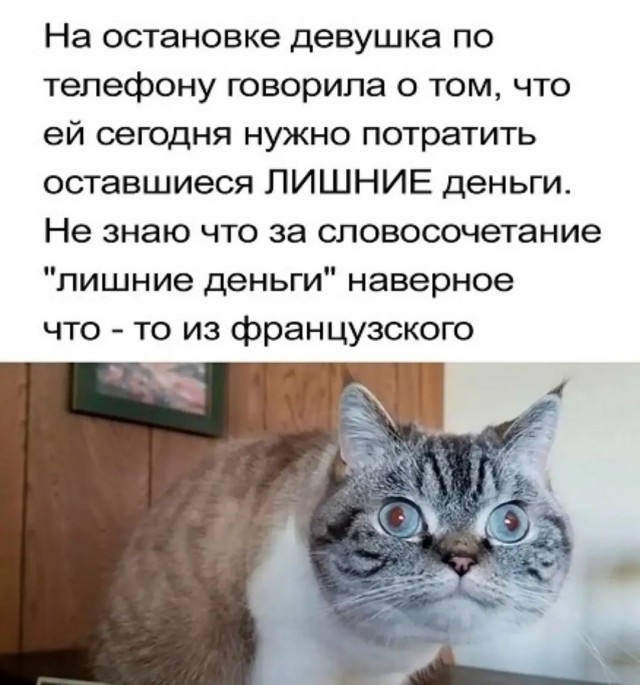 Так себе картинки 05.07.26