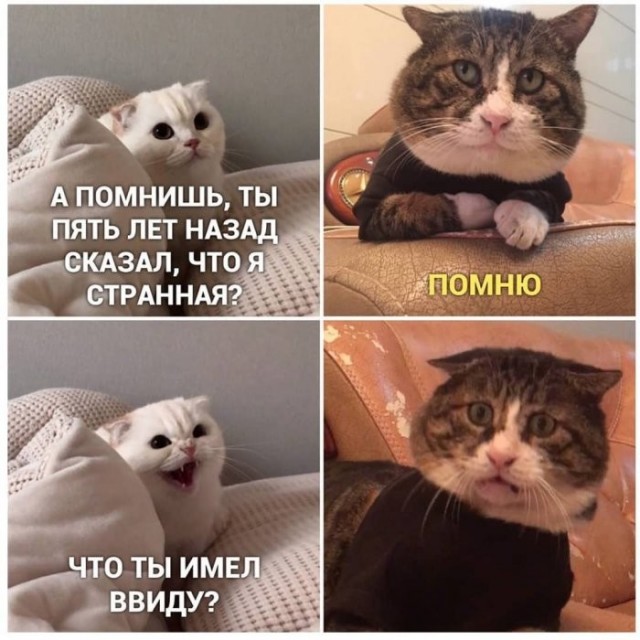 Веселые картинки в пятницу (18.09)