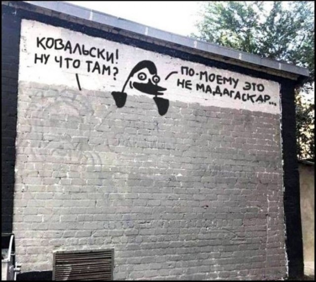 Картинки для деградации 306 (разной степени свежести)