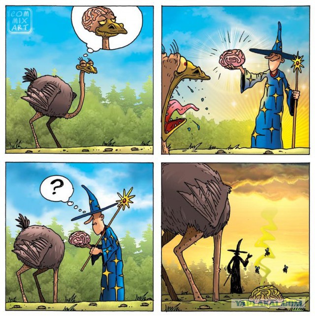 Про страуса..
