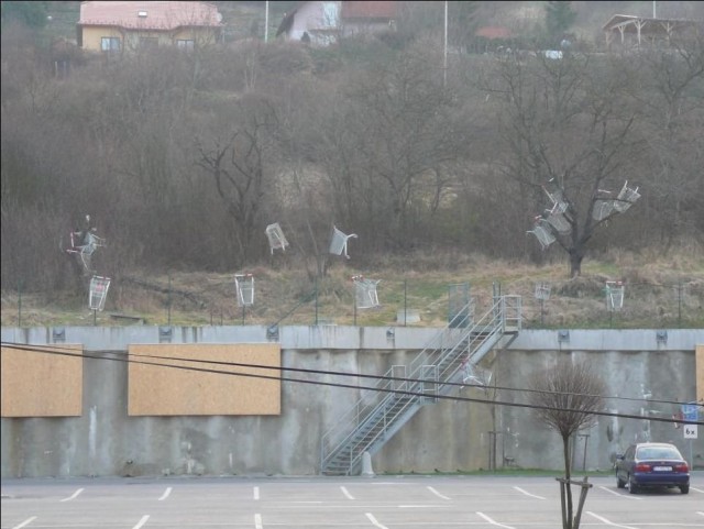 Поспели "вишни" в саду у дяди Вани