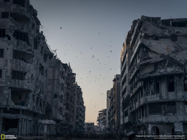 Фото года по версии NatGeo