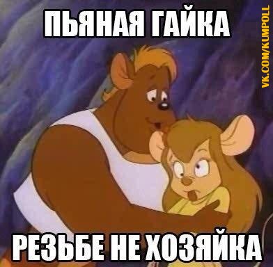 Подборка веселых картинок